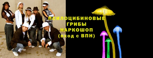 хмурый Тында