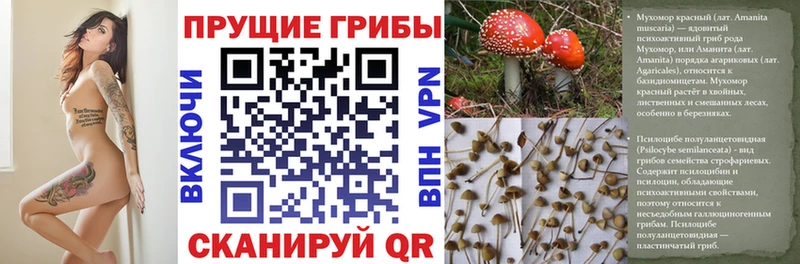 Псилоцибиновые грибы Magic Shrooms  Котлас 