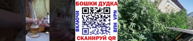 OMG ТОР  Котлас  Каннабис план 